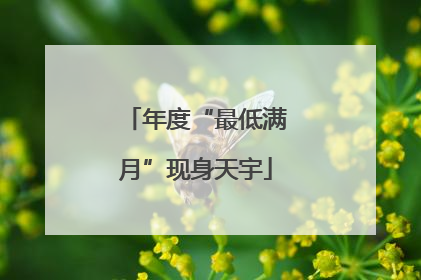 年度“最低满月”现身天宇
